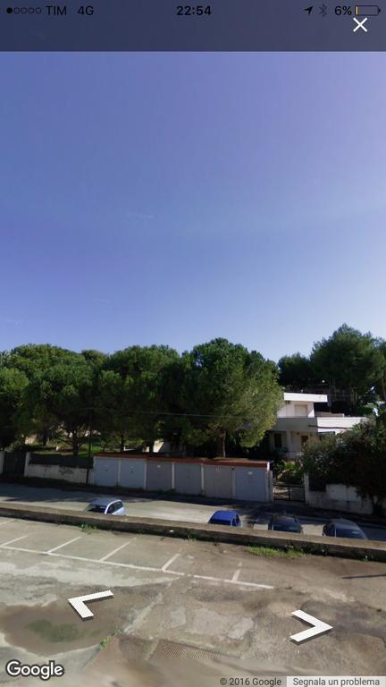 Oasi